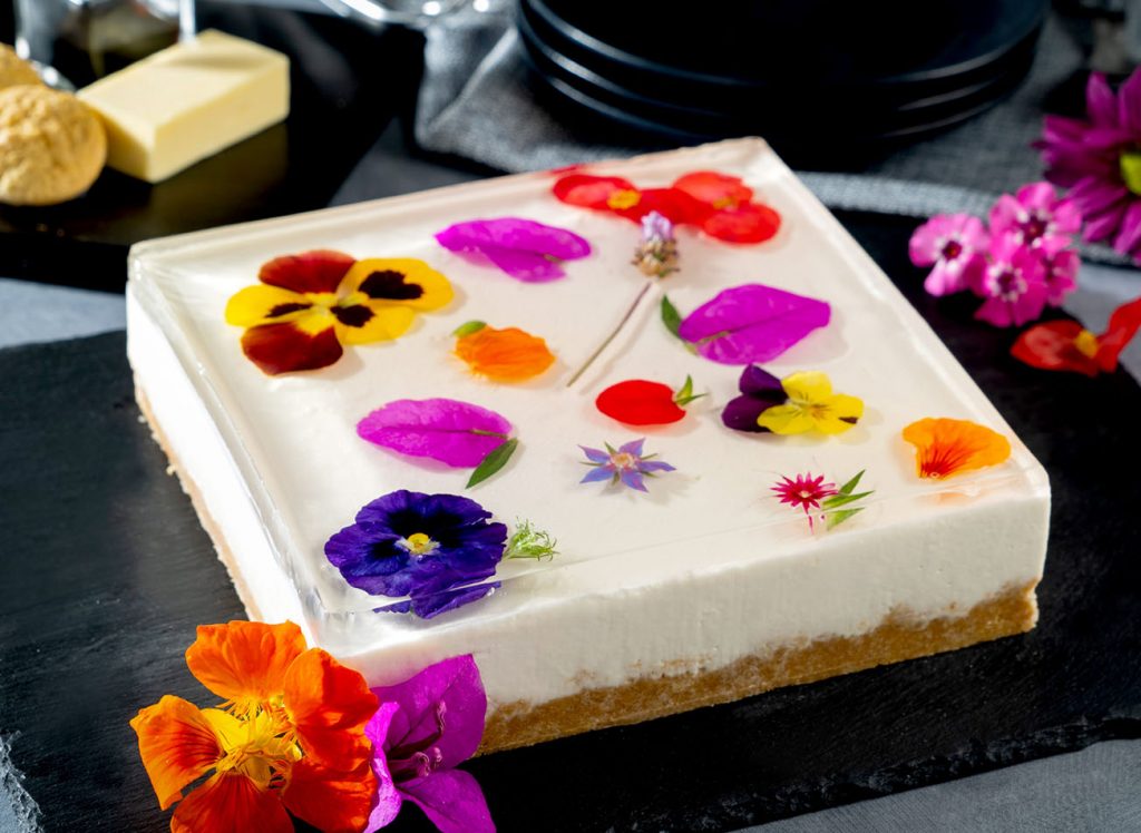 tarta-de-queso-con-gelatina